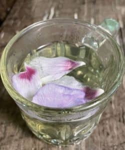 Hibiscus tea made from hibiscus flower petals