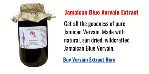 jamaica blue vervain extract