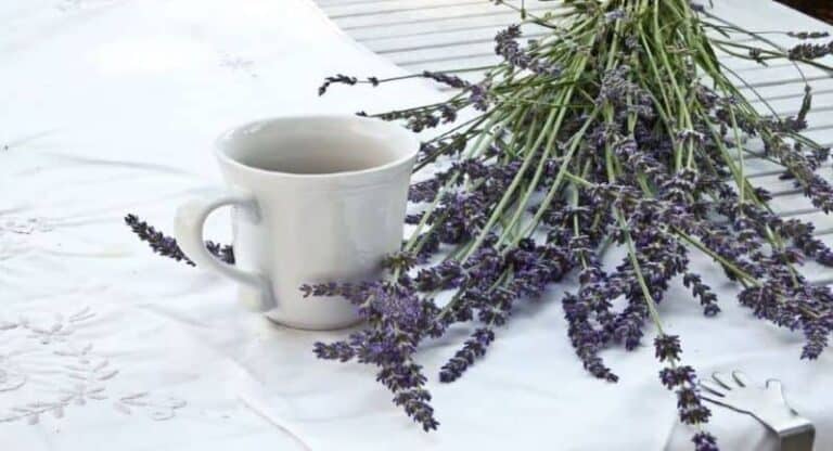 Lavender Milk Tea: What Is Lavender Milk Tea?