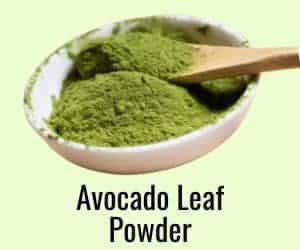 avocado leaf powder
