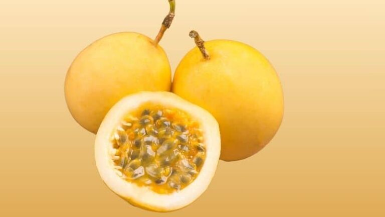 ripe yellow passio fruit image
