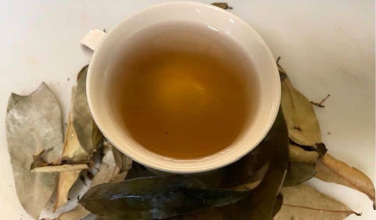 cup for orgainic soursop leaf tea sitting on dried soursop leaves