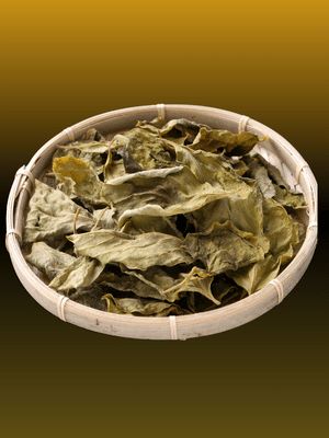 dried susumba leaves for making susumba leaf tea