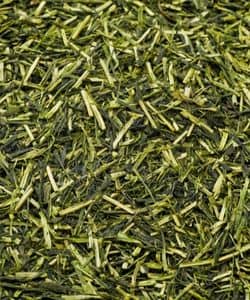 Dried Morenga  leaf for making tea