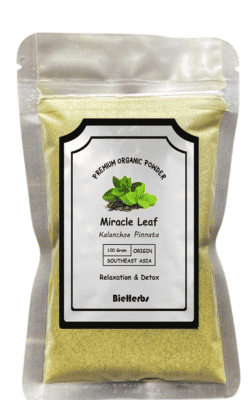 Leaf of Life (miracle leaf) powder
