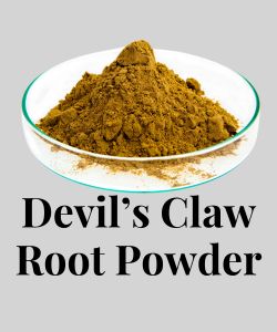 devi's claw root powder