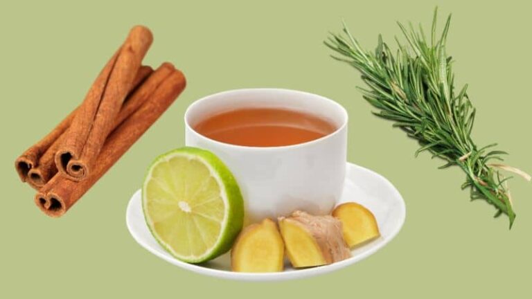 Jamaican bush teas cinnamon, rosemary and a cup of herbal tea with a slice of lime and ginger slices on a saucer