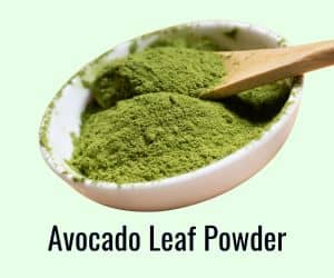 organic avocado leaf powder