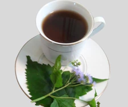 Jamaican jack in the bush tea in white cup with fresh herb on a saucer
