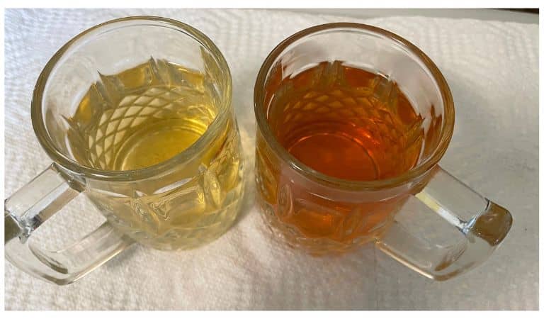 boiling vs steeping soursop leaf tea